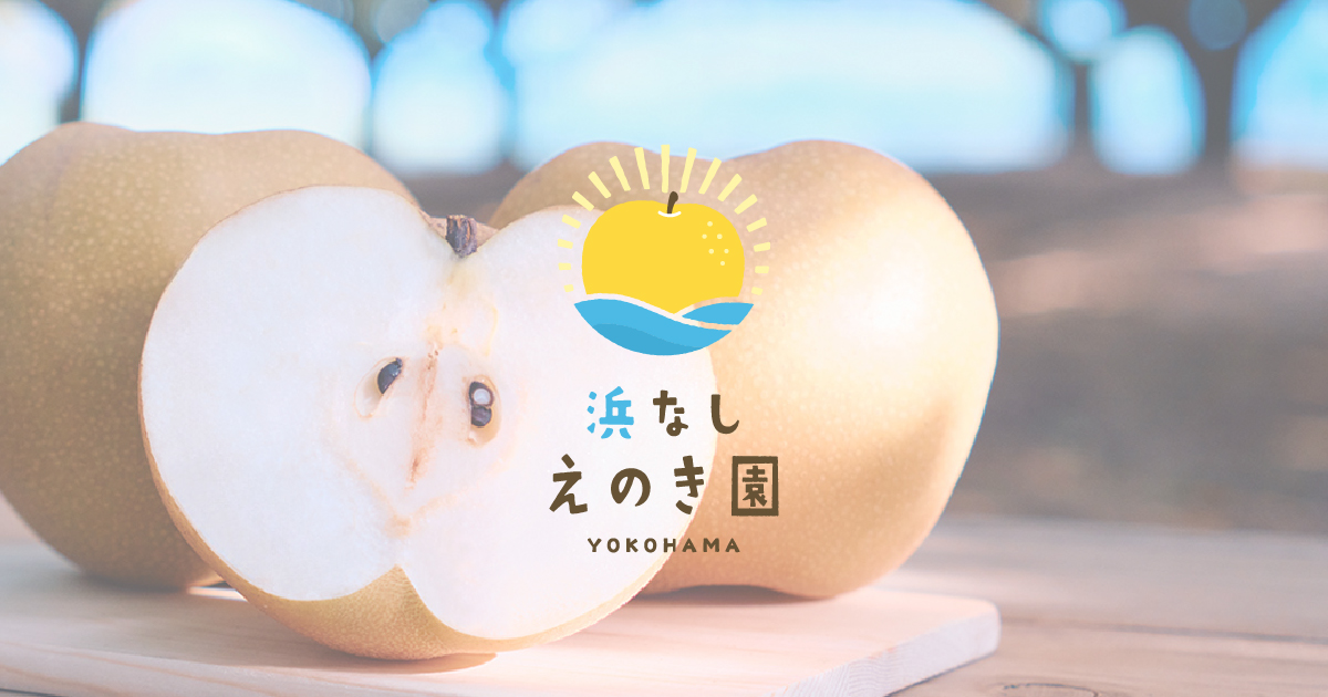 浜なし えのき園（鮫島）｜神奈川県横浜市の梨農家
